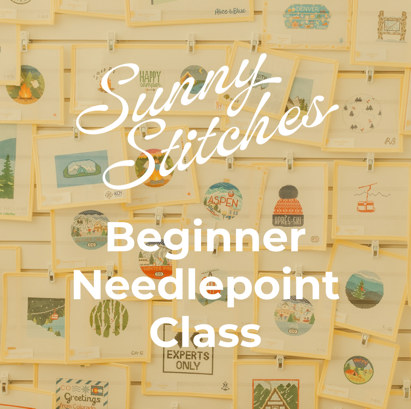 Beginner Needlepoint Class - March 9th