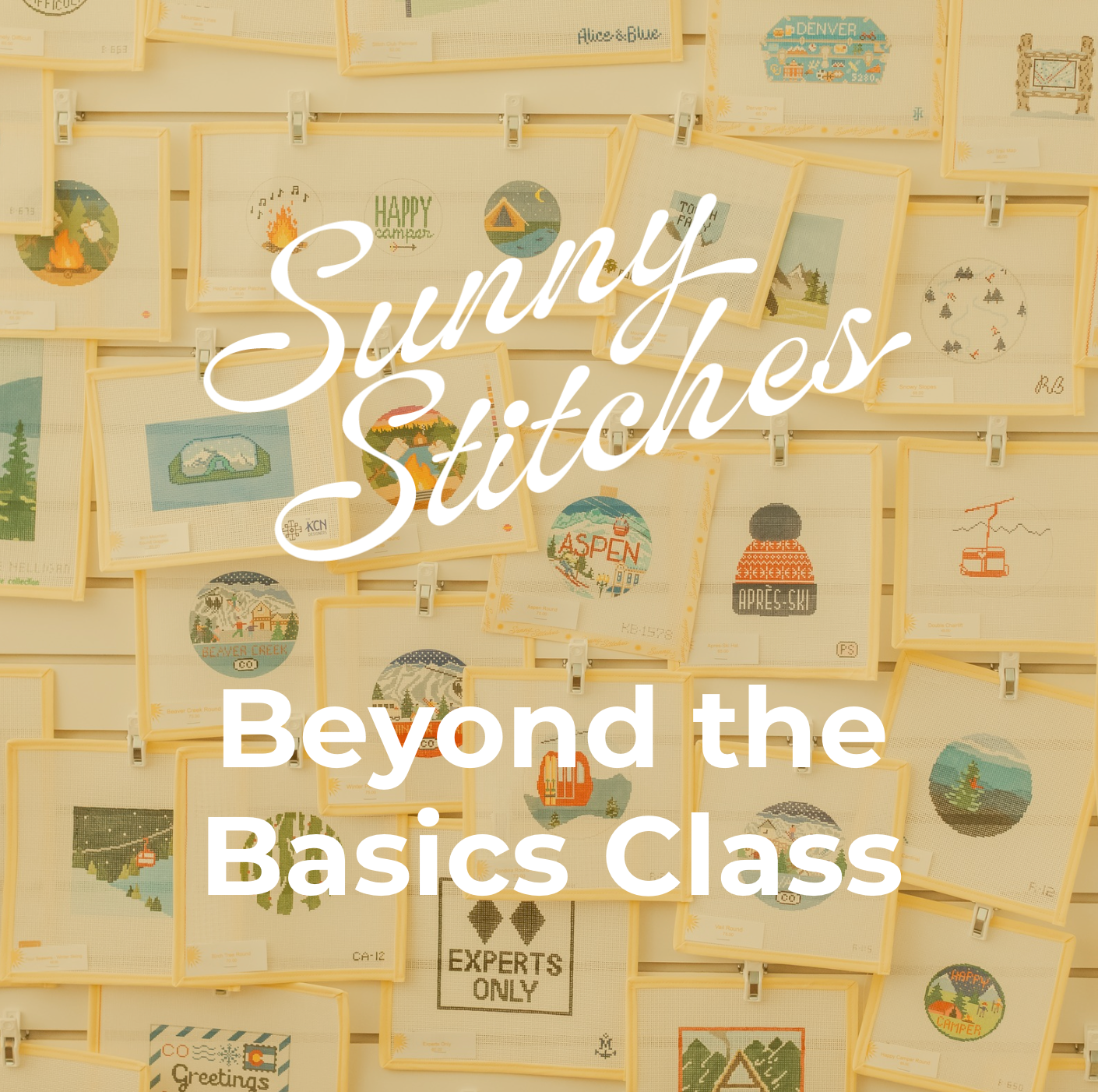 Beyond the Basics Class - March 15th